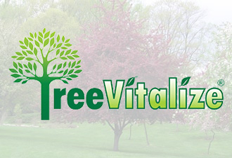 Shade Tree Commission TreeVitalize PA