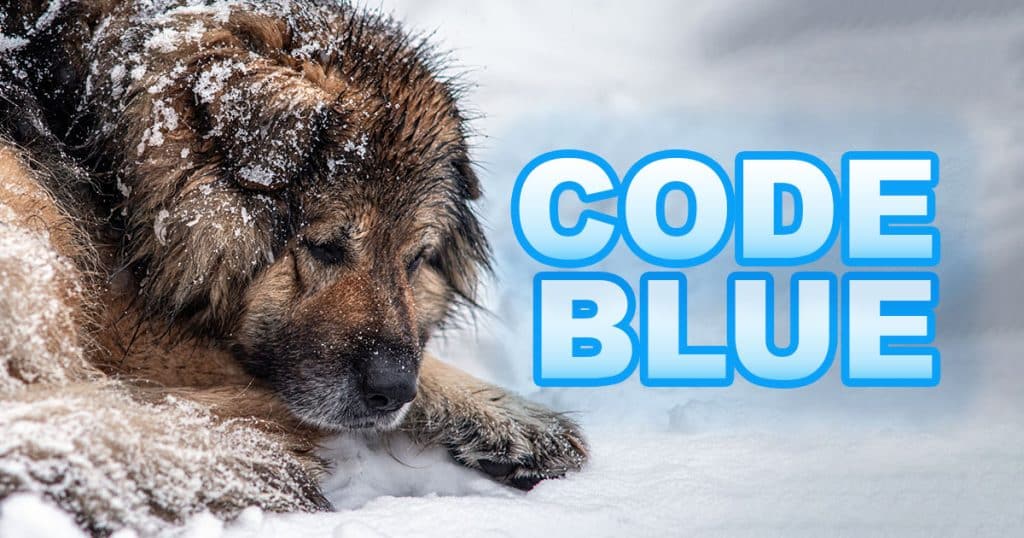 Code Blue – Extreme Weather Alert